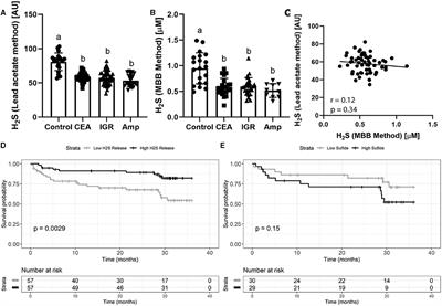 Plasma Hydrogen Sulfide Is Positively Associated With Post-operative Survival in Patients Undergoing Surgical Revascularization